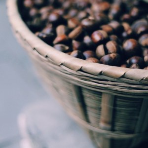 Processed with VSCOcam with c1 preset